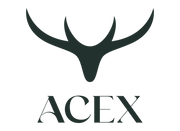 LOGO - ACEX公式 